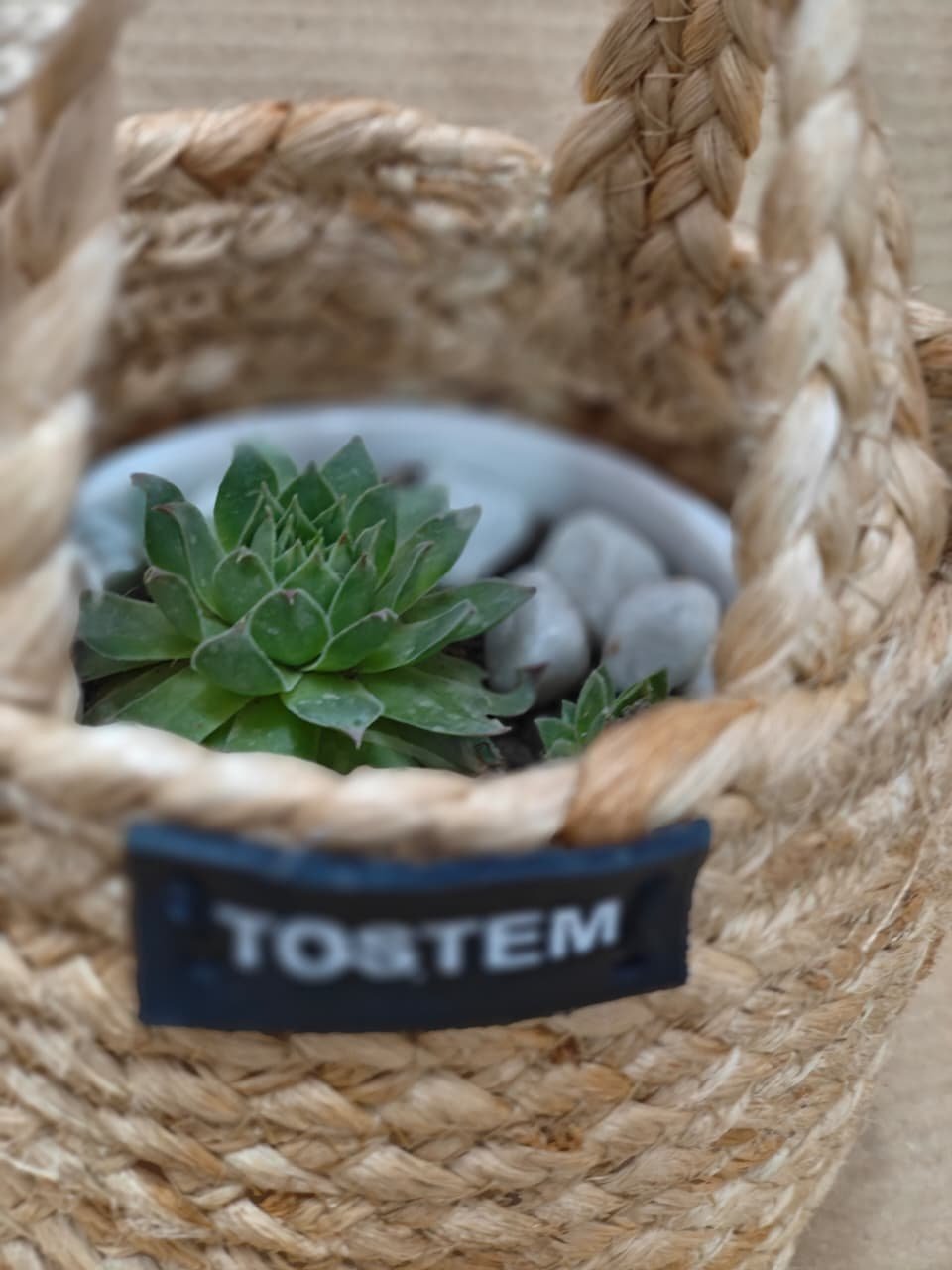 Eco-Friendly Jute Planter Gift Set – Customisable Corporate & Event Hamper - Image 5